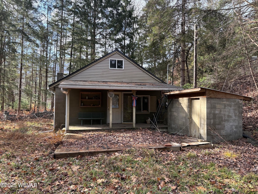 20 Heverly Rd, Waterville, PA 17776 - photo 1