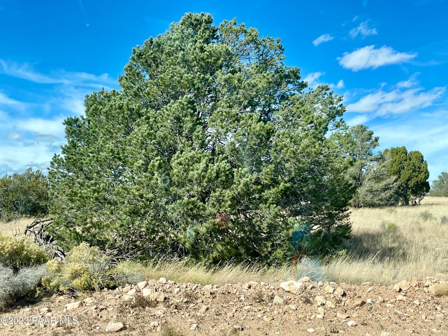 1608 W Ridgeview Dr, Ash Fork, AZ 86320 - photo 1