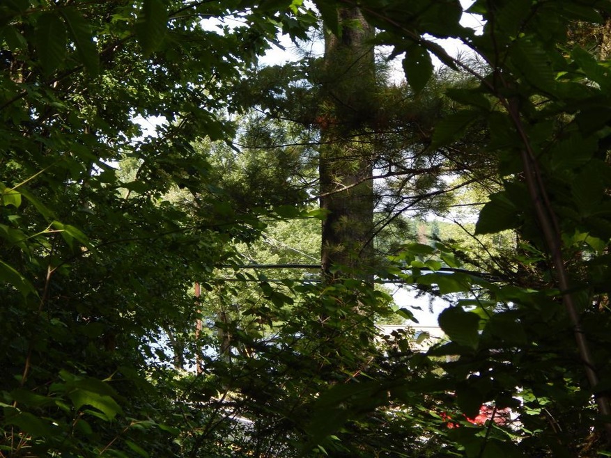 Lot 1 Main St, Springfield, NH 03284 - photo 1