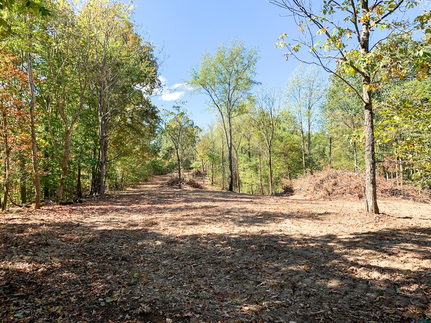 0 Bethel Rd, Prospect, TN 38477 - photo 1