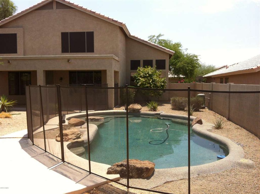 Backyard 1
