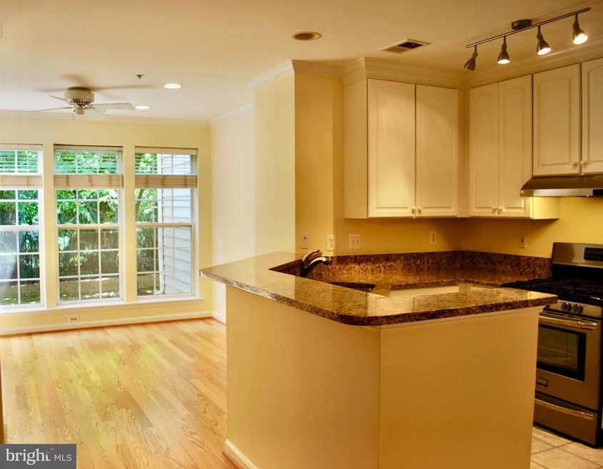 11217 Edson Park Place, Rockville, MD 20852 - photo 1