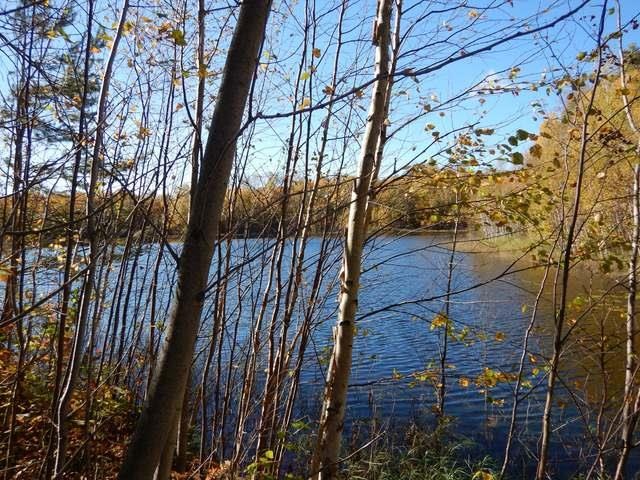 ON Foreman Rd unit 2.68 Acres, Deerbrook, WI 54424 - photo 1