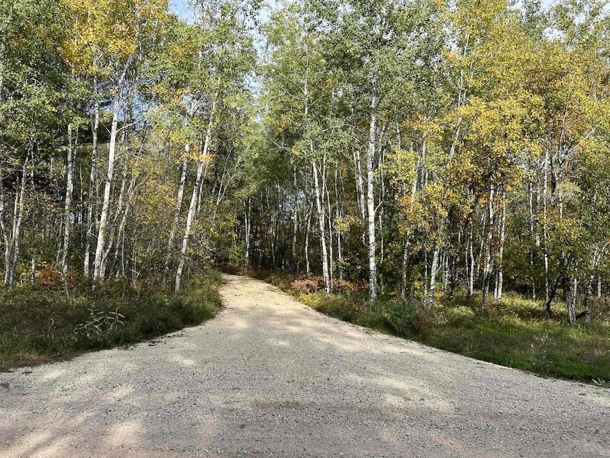 0 Crystal Rapids Rd unit 50312744, Wausaukee, WI 54177 - photo 1