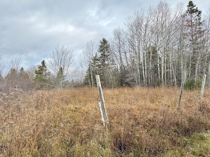 0 Lecoy Rd, Sugar Island Township, MI 49783 - photo 1