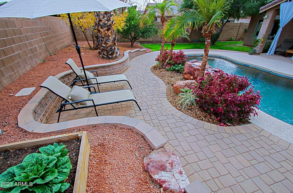 Backyard 9