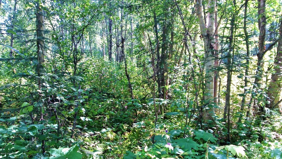 10854 Susitna River Rd, Trapper Creek, AK 99683 - photo 1