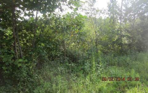 1016 Gateway Dr, Ellijay, GA 30540 - photo 1