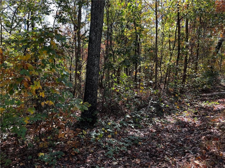 0 S Prospect Ave unit 7481992, Waco, GA 30182 - photo 1