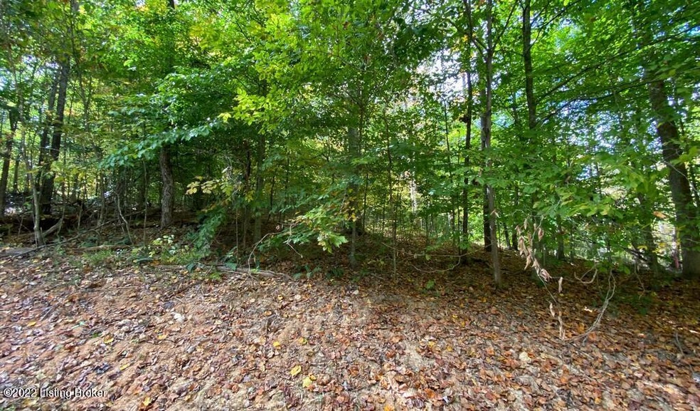 River View Fall272