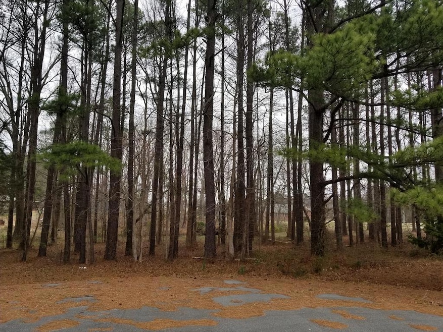 63 Hickory Cir, Roanoke Rapids, NC 27870 - photo 1