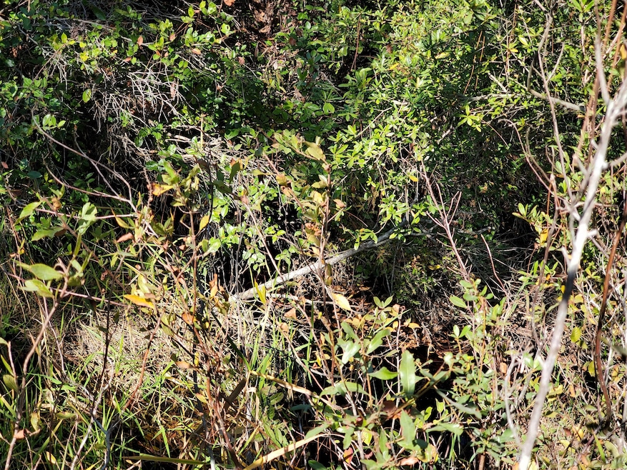 0 SW Prine Rd unit 20907097, Lee, FL 32059 - photo 1