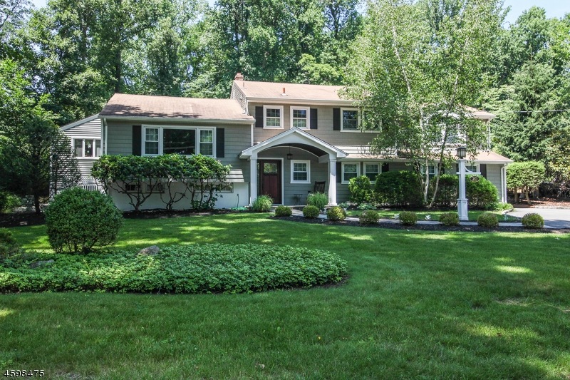20 Grove Ave, Morris Plains, NJ 07950 - photo 1