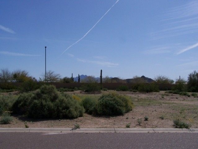 Lot 31
