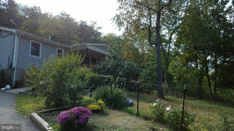 1733 Island Ford Rd, Rileyville, VA 22650 - photo 1