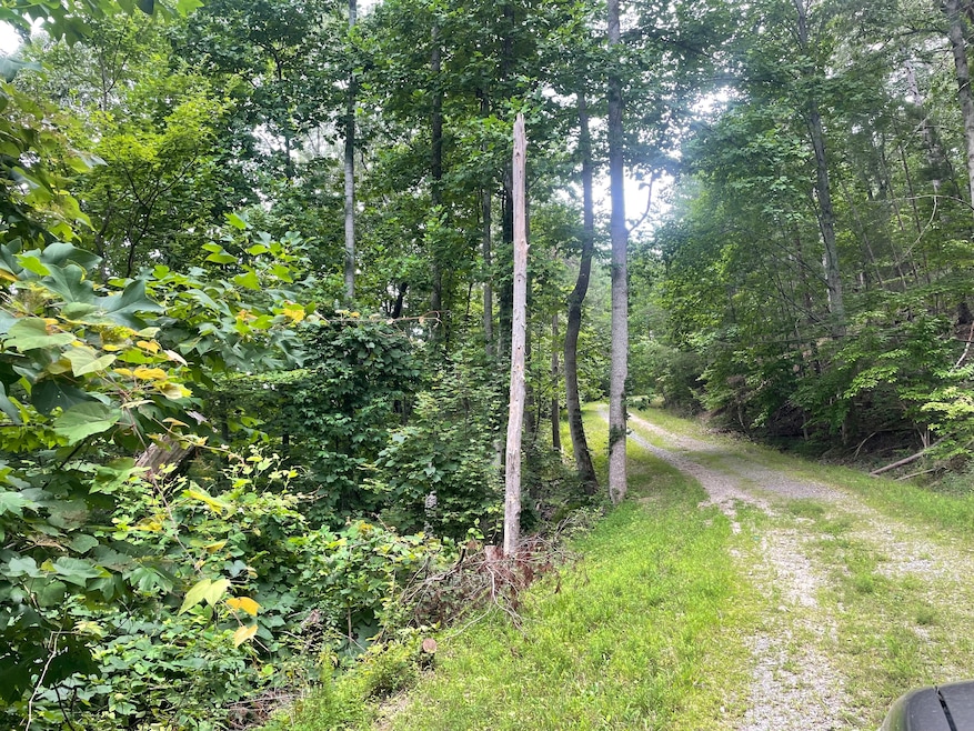 255 Oxford Cir, Ranger, GA 30734 - photo 1