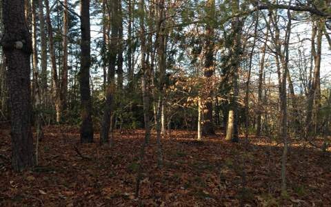 LT 3 Windjammer Dr, Hiawassee, GA 30546 - photo 1