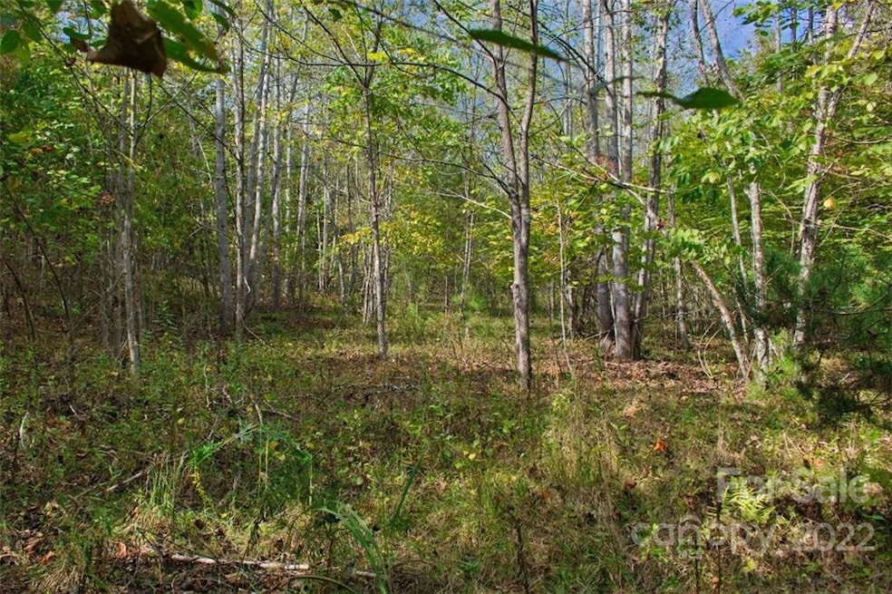 0 Chimney Creek Ln unit 194 CAR3897982, Rutherfordton, NC 28139 - photo 1