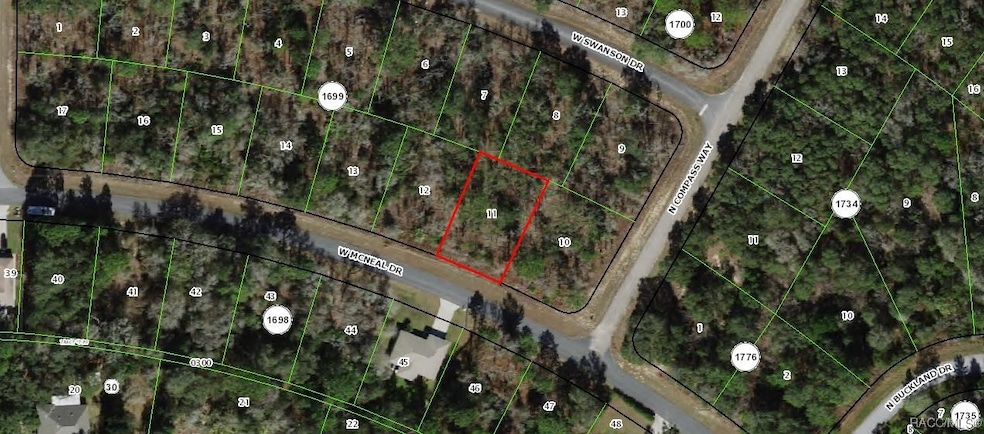 1655 W Mc Neal Dr, Pine Ridge, FL 34434 - photo 1