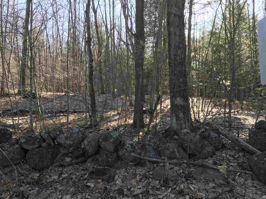 36 Effingham Rd, Ossipee, NH 03864 - photo 1