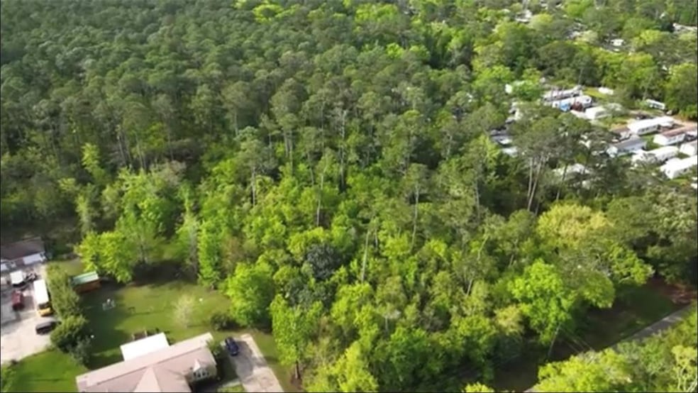 3,27 Acres of wooded land