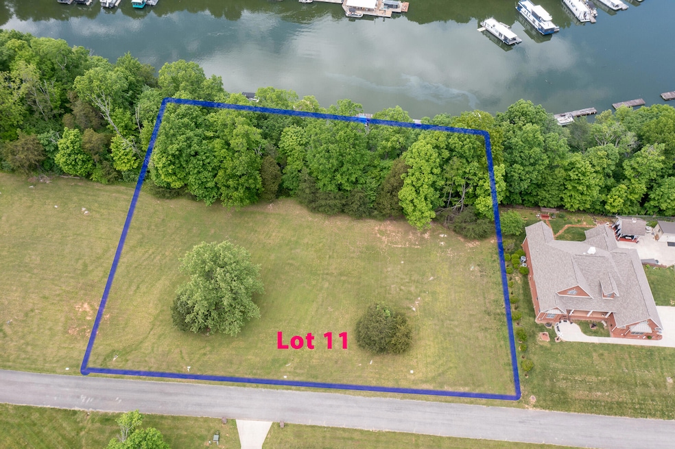 Lot 11