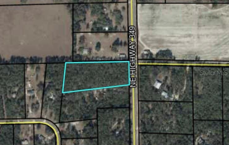 TBD NE 349 Hwy, Old Town, FL 32680 - photo 1