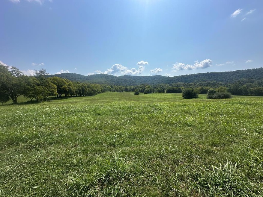 0 Cane Creek-Cummingsville Rd, Sparta, TN 38583 - photo 1