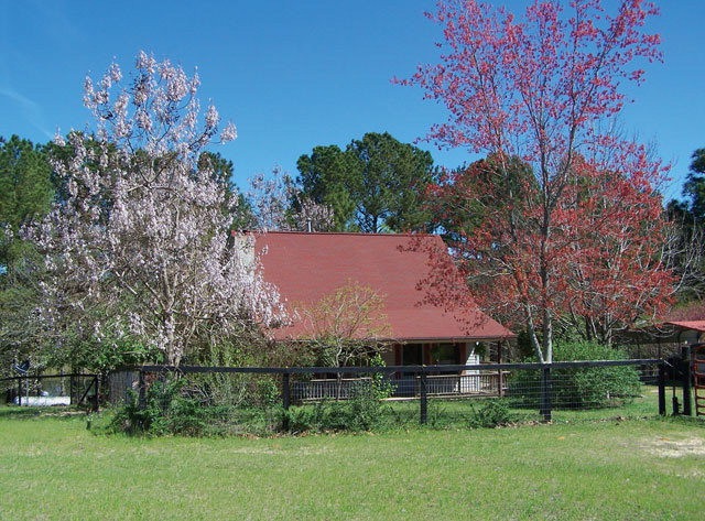 Main View