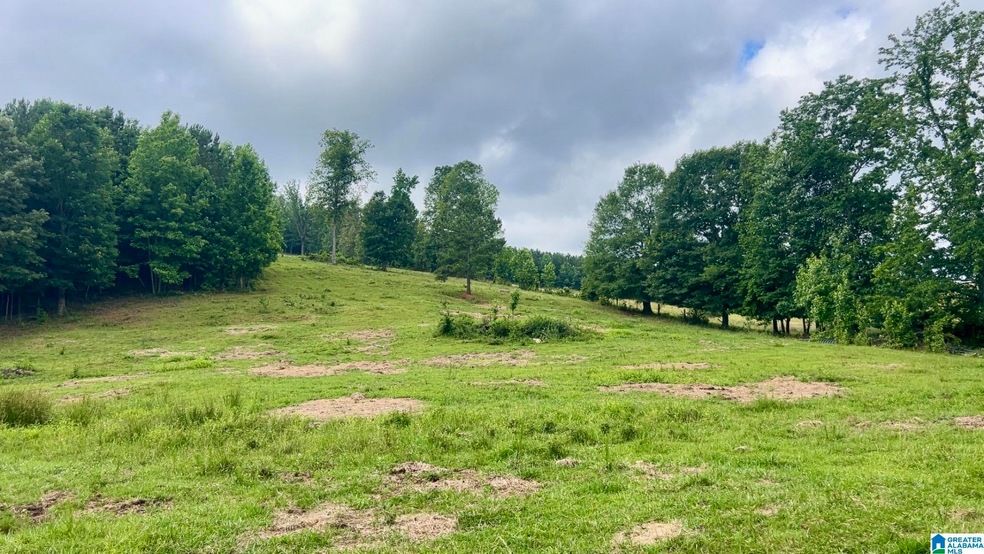 Pending $320,000 • Co-Listing Agent