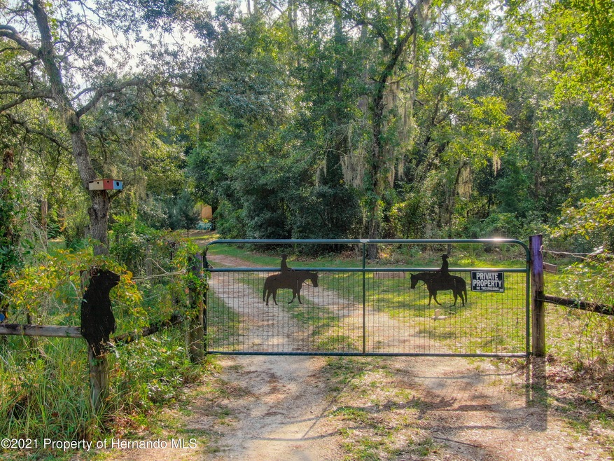 3025 N Page Ave, Hernando, FL 34442 - photo 1