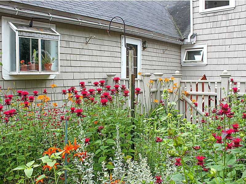 Yard/Garden. Flowers greeting visitors along entry
