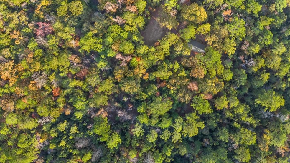 168 Delea Ln, Brookeland, TX 75931 - photo 1