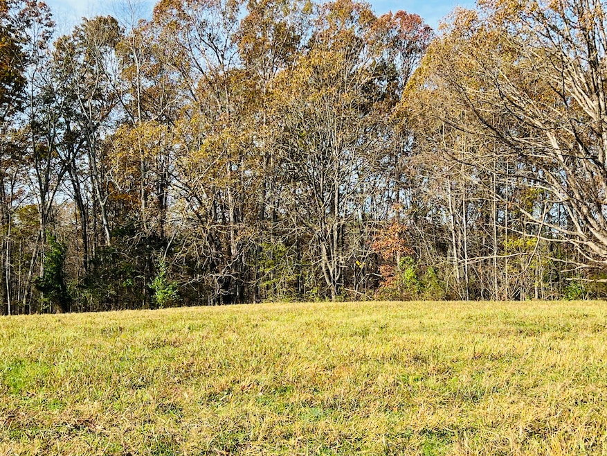 Tract 11 Newell Rd, Somerset, KY 42503 - photo 1