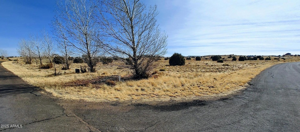 Corner Lot