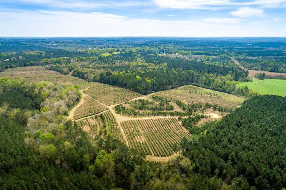 Drone View