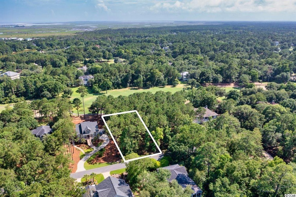 Lot 141 Calais Ln, Georgetown, SC 29440 - photo 1