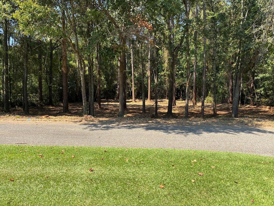 Lot 3 Hampton Way, Dothan, AL 36305 - photo 1