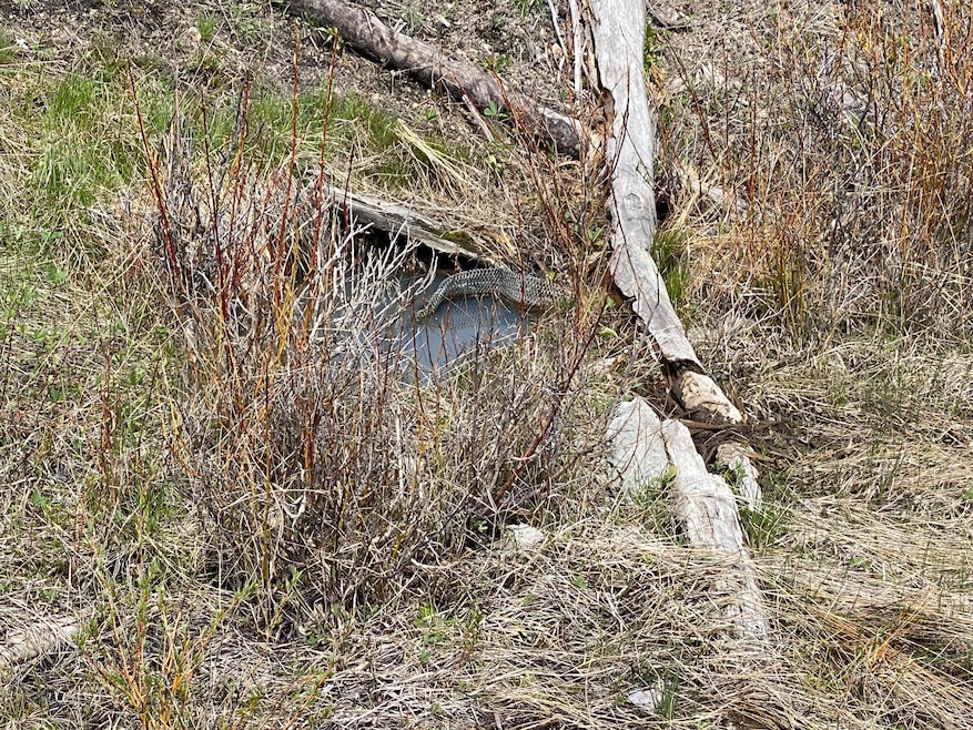 Nhn Dickson Creek Rd, Conner, MT 59827 - photo 1