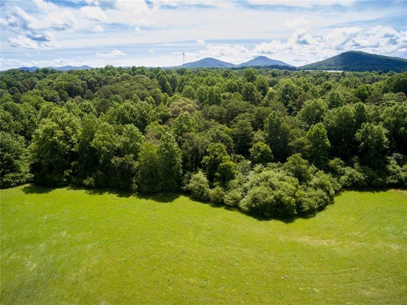 520 Grindle Brothers Rd, Murrayville, GA 30564 - photo 1