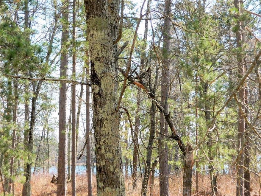 Lot 6 Rainbow Ct, Jackson, WI 54830 - photo 1