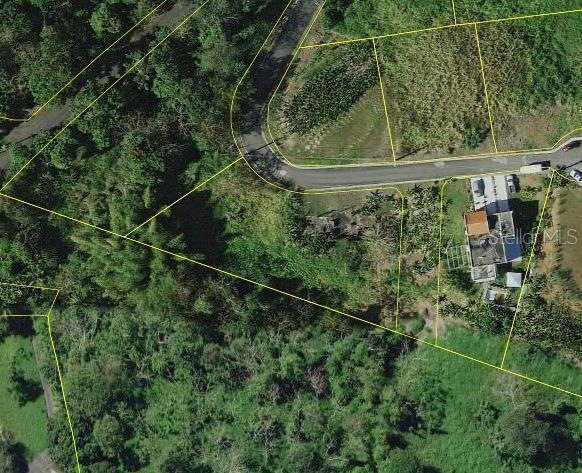 unlisted-address, Juncos, PR 00777 - photo 1