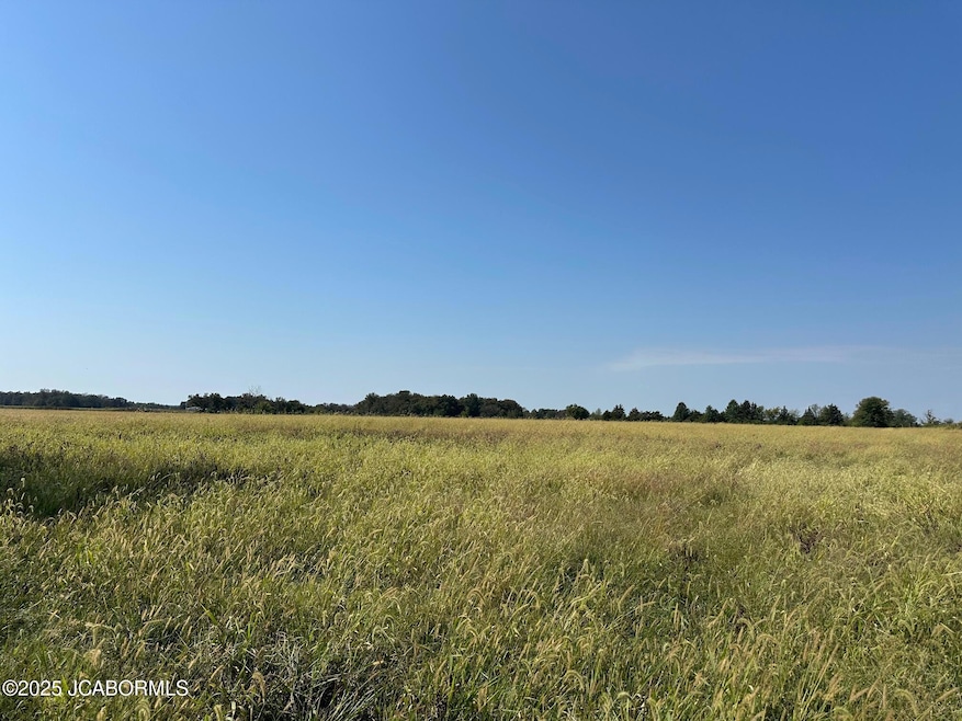 0 4 05 Ac Tract3 Cr 404 unit 10071798, Fulton, MO 65251 - photo 1