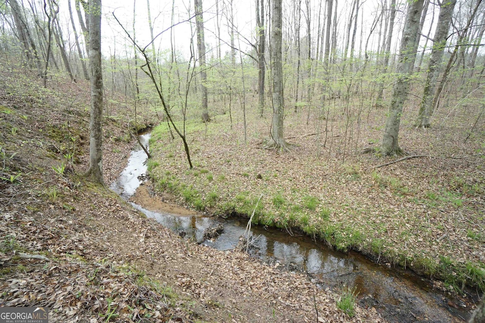 0 Wellington Mill Rd unit 20179343, Whitesburg, GA 30185 - photo 1