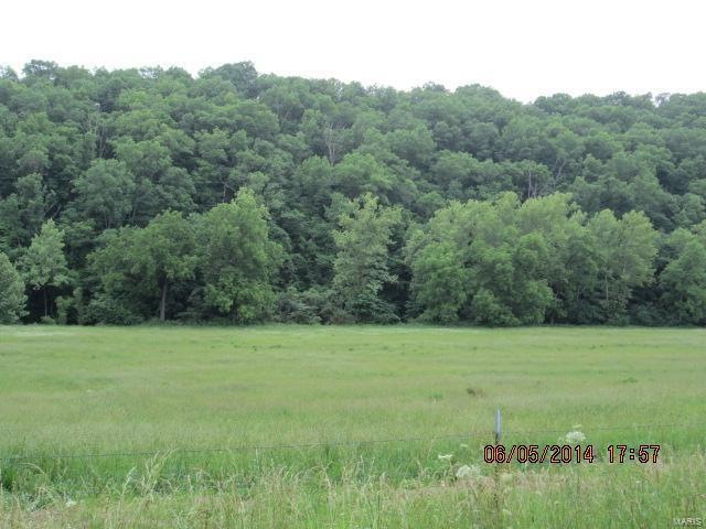 17175 Cliff Rd, Dixon, MO 65459 - photo 1