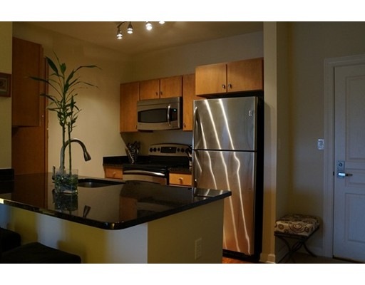 4 Repton Cir unit 4309, Watertown, MA 02472 - photo 1