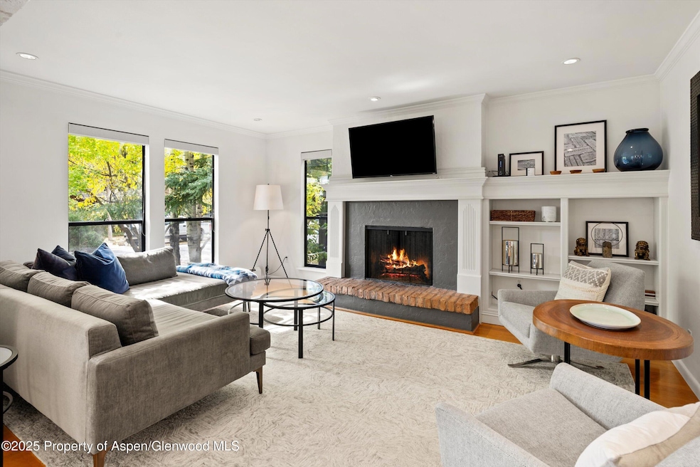 980 E Hyman Ave unit 3, Aspen, CO 81611 - photo 1