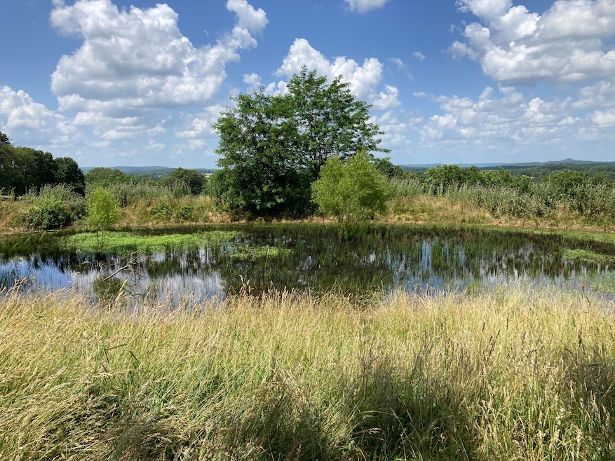 000 County Rd O-532 unit 13, Ava, MO 65608 - photo 1