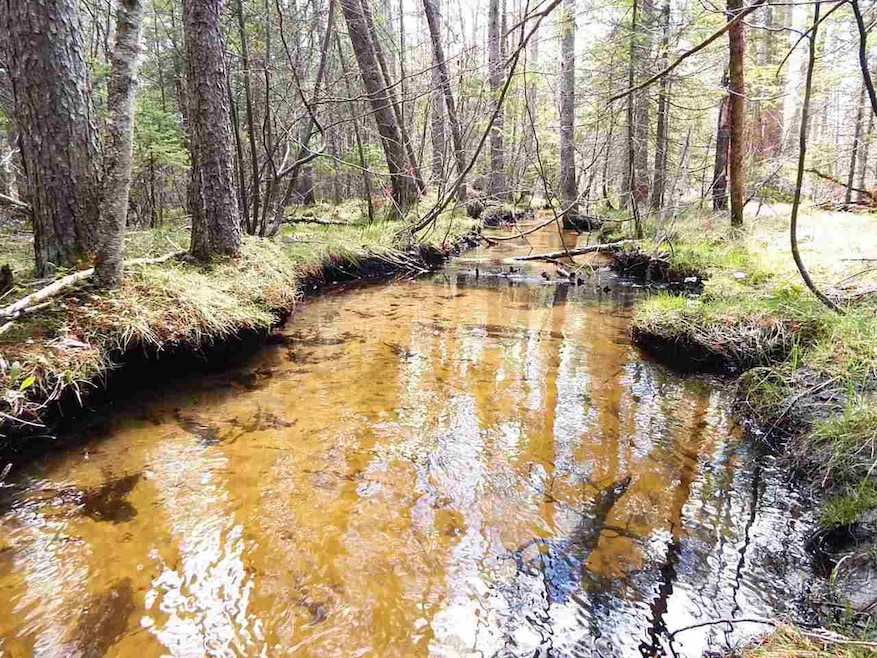 0 Howard Rd, Chandler Township, MI 49713 - photo 1