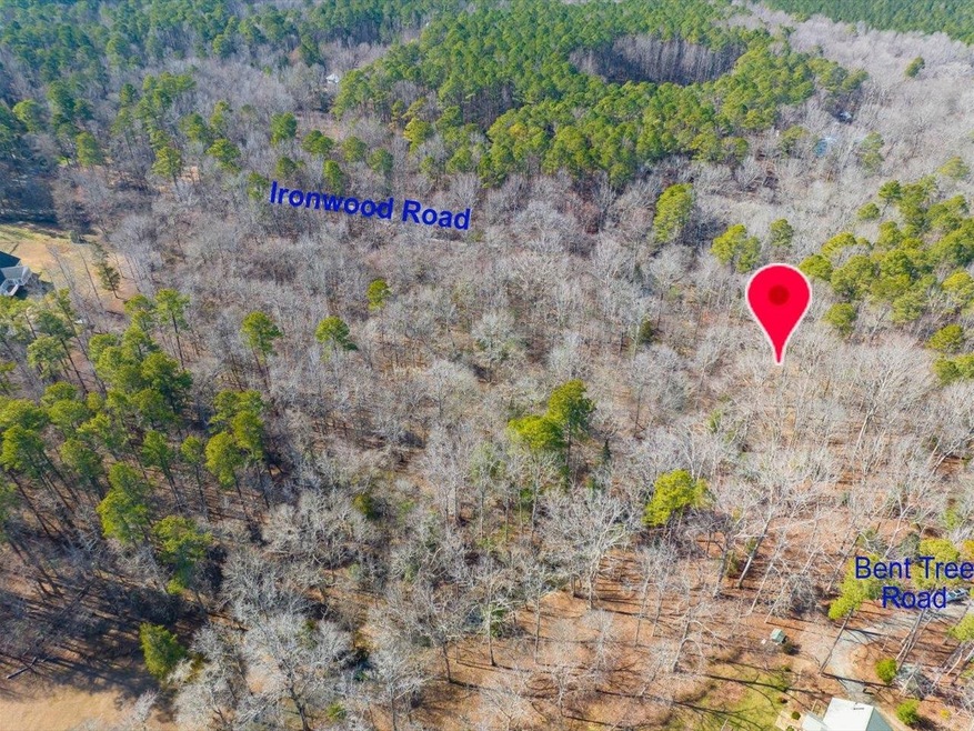 399 Bent Tree, Pittsboro, NC 27312 - photo 1